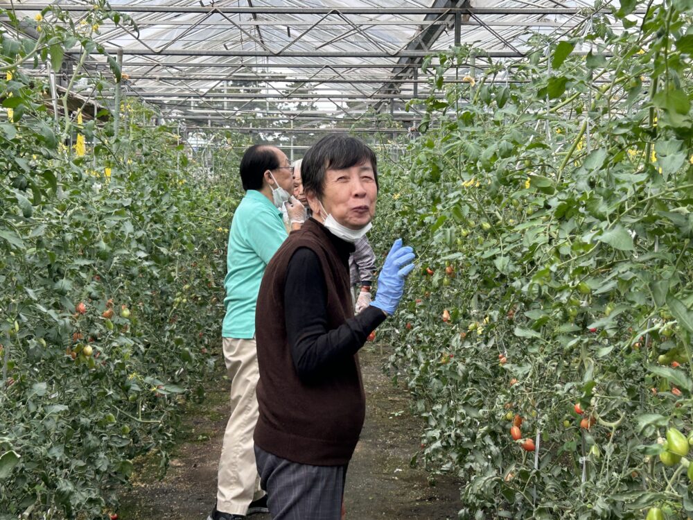 静岡市駿河区グループホーム_トマト狩り開催
