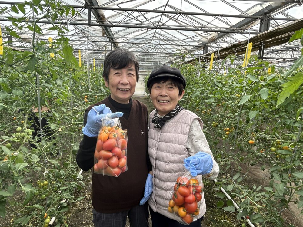 八幡小規模多機能　トマト狩り開催！！