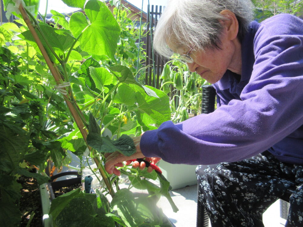 島田市グループホーム_クラブ活動紹介園芸クラブ