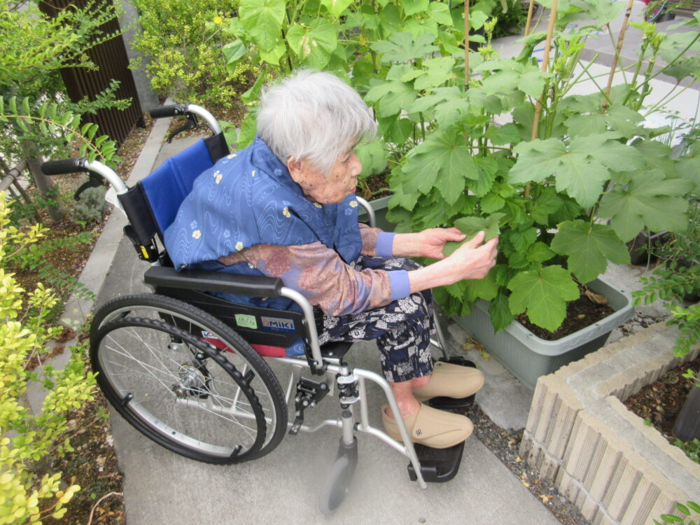 島田市グループホーム_クラブ活動紹介園芸クラブ