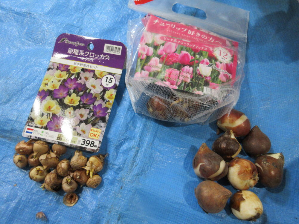 島田市グループホーム_お花の寄せ植え