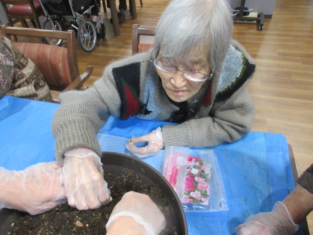 島田市グループホーム_お花の寄せ植え