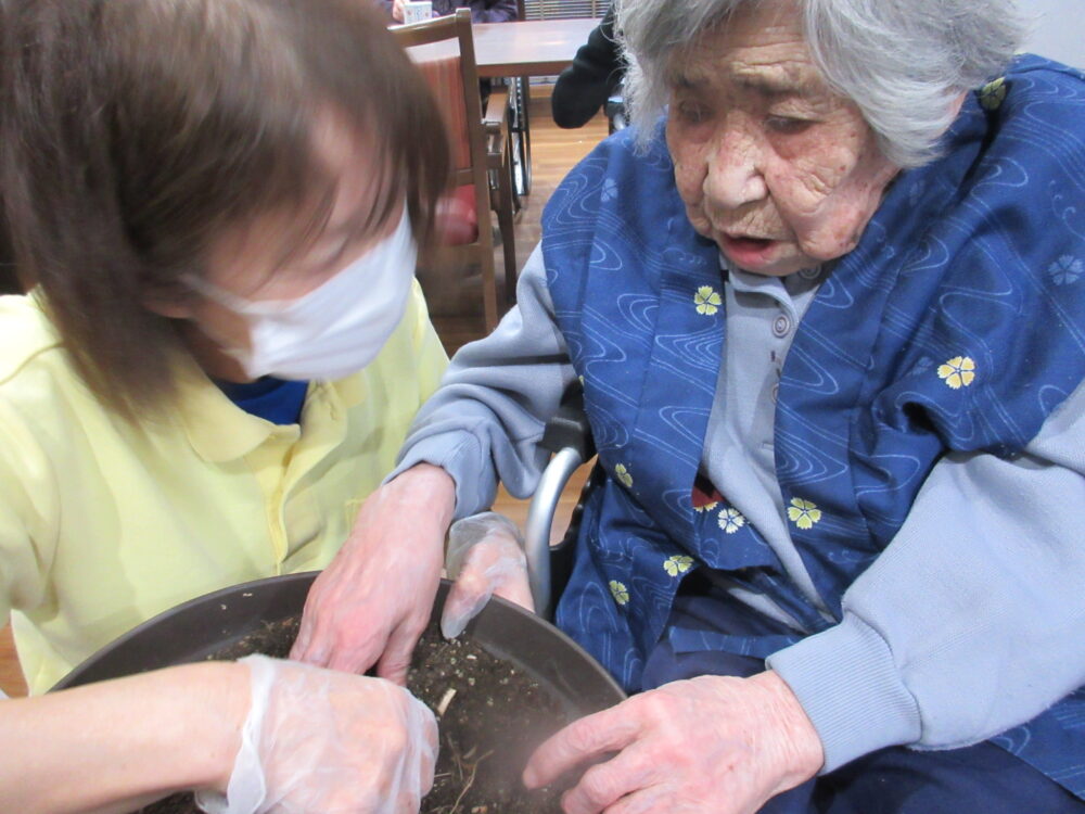 島田市グループホーム_お花の寄せ植え