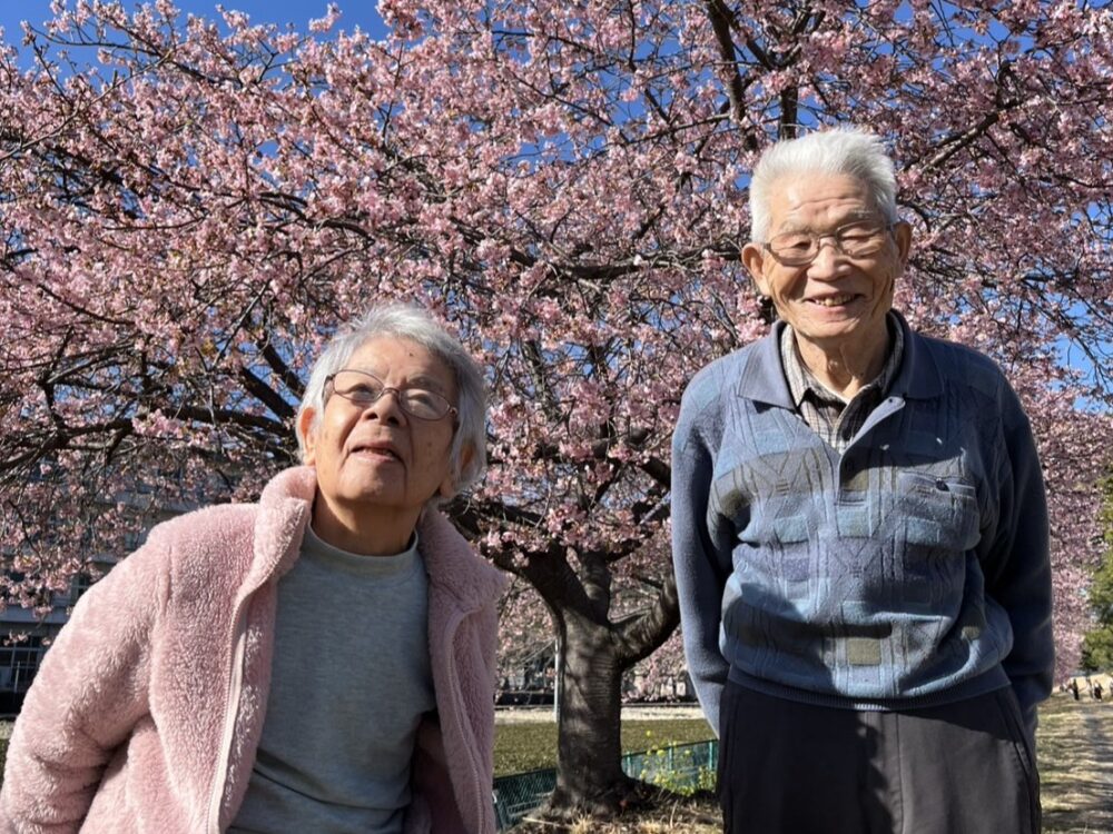 八幡小規模多機能　春風に包まれた美和桜散策